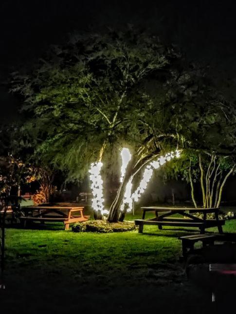 Top Of The Hill Rv Resort & Cabins Waring Bagian luar foto
